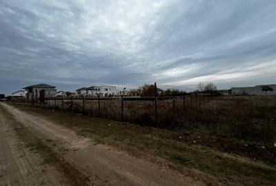 Teren intravilan 750 mp Tunari Stejarului - 11