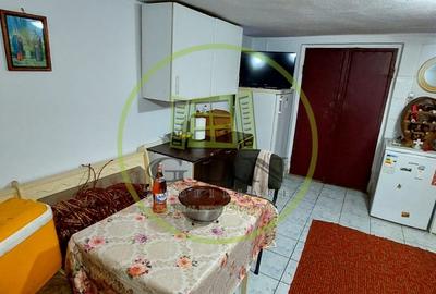 Casa 5 camere  suprafata utila 126 mp , teren 684,spre vanzare in Saliste - 10