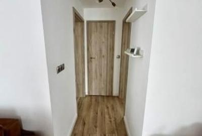 Casă individuală cu 3 camere cu Teren 300 Mp în Exterior Est - 9