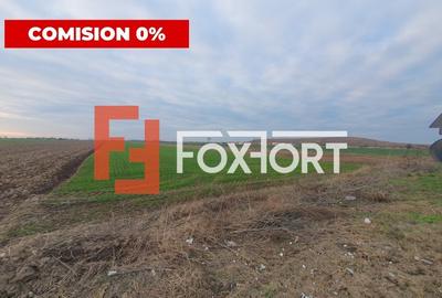 COMISION 0% Teren extravilan agricol 10.000 mp la sosea in Sag - 1