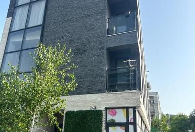 Spatiu comercial de vanzare 230mp preluare chiriasi ctr pe 8 ani Dambul Rotund - 2