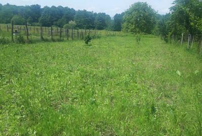 Casă cu 5 camere în Stănești - 1