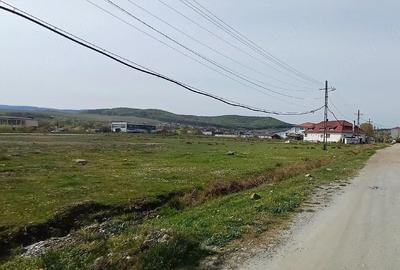 Spațiu comercial, de 496 mp, în Voivozi (Popești) - 3