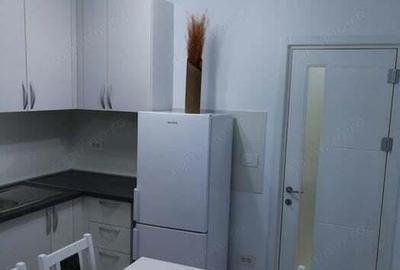 Garsoniera situata pe Calea Calarasi - 1