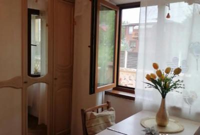 Casă cu 3 camere cu Teren 264 Mp în Teliucu Inferior - 1