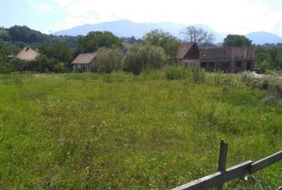 Teren Construcții intravilan de 1570 mp, în Bran