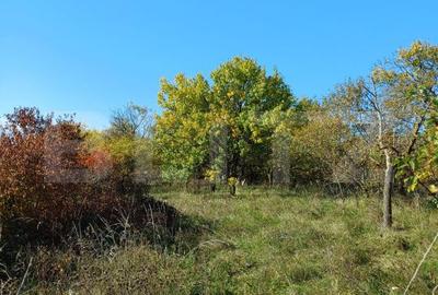 Teren de 2877 mp, în Săndulești - 1