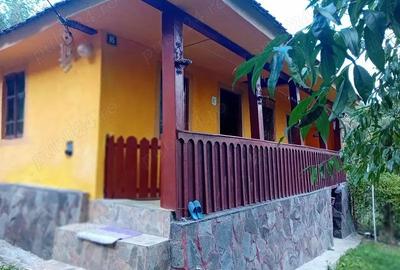 Case si teren 5600 mp in Cepari Arges - 3