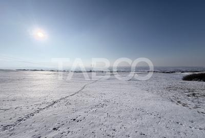 Teren Construcții intravilan de 40300 mp, în Daia - 2