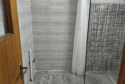 Apartament cu 3 camere decomandat în Calea Călărașilor - 5