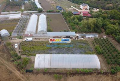 Teren de 9529 mp, în Mihăilești - 3