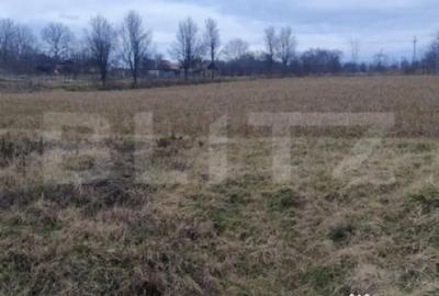 Casă cu 4 camere cu Teren 5450 Mp în Central - 1