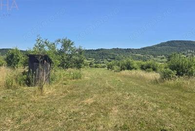 Casa cu teren 5900 mp str. Ghinzii sub padure - 2