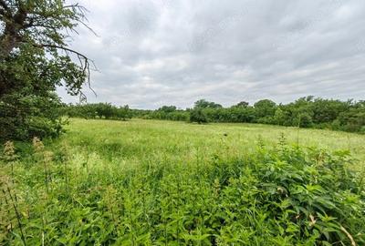 Teren de 18645 mp, în Sântămăria de Piatră - 20