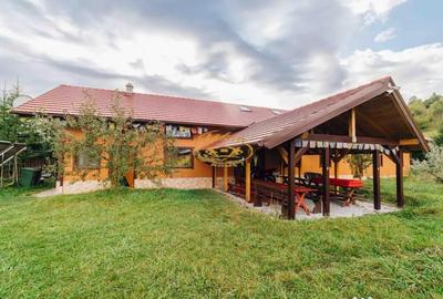 Casă cu 12 camere cu Teren 19841 Mp în Vale - 8