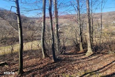 Spațiu comercial, în Pâncești - 14