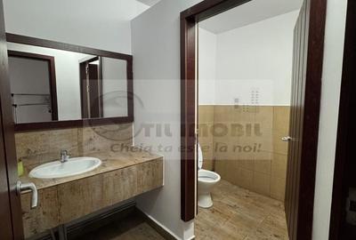 Spațiu comercial, de 300 mp, în Valea Adâncă - 13