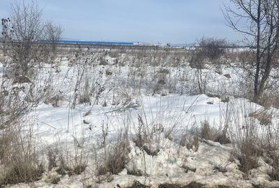 Teren de 555 mp, în Cristian