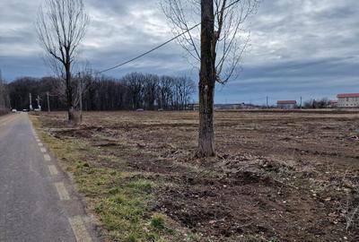 Ciolpani adiacent DN1 teren 12800 mp parcelabil toate uti... - 5