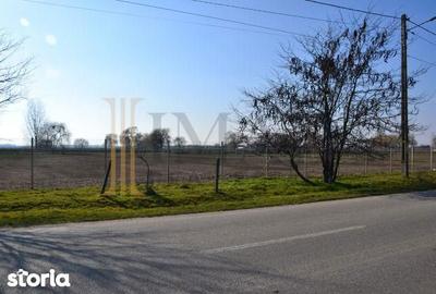 Teren de 5600 mp, în Sălcioara - 2