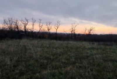 Teren de 4760 mp, în Ghercești - 2