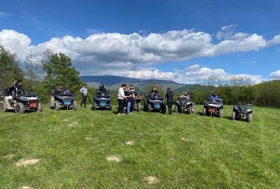 Teren Construcții extravilan de 10000 mp, în Borlova - 4