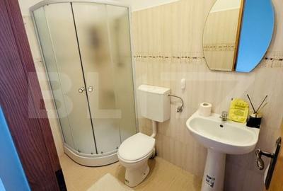 Apartament cochet cu 2 camere in zona 13 Decembrie, Brasov - 8