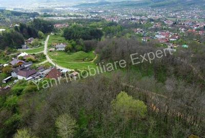 Teren de vanzare in Curtea de Arge?, strada Paune?ti. - 4