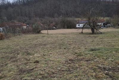 Teren de 3140 mp, în Alimpești - 3