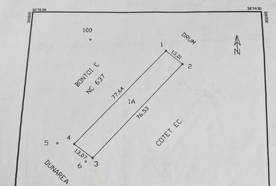 Teren agricol extravilan de 3500 mp, în Burila Mare - 1