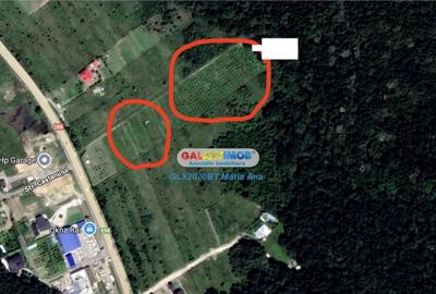 Teren de 740 mp, în Central