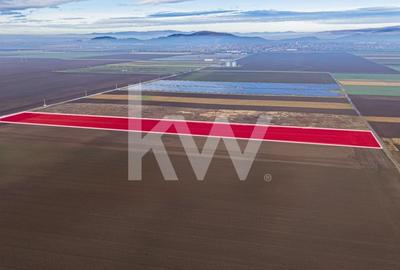 Teren Construcții intravilan de 16000 mp, în Hărman - 3