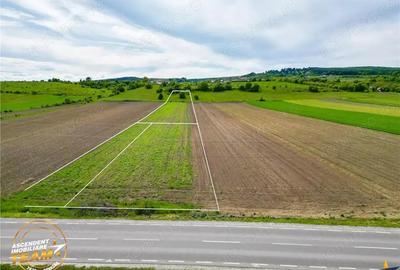 FILM! Teren intravilan industial, cu PUZ si acces la DJ112, Sfantu Gheorghe FILM! Teren intravilan industial, cu PUZ si acces la DJ112, Sfantu Gheorghe - 7