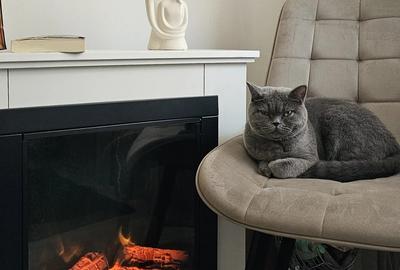 Vand apartament 3 camere Decebal - 2