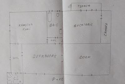 Casa mare de vanzare in Calea Sagului - 3