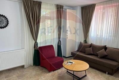 Apartament cu 2 camere de inchiriat in zona Plevnei - 1