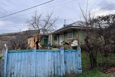 Casă cu 2 camere în Bursuci - 14