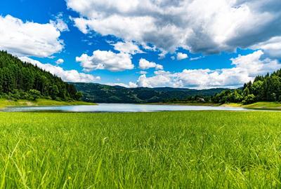 Casă cu 3 camere în Bradu - 1