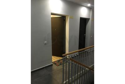 Apartament cu 2 camere semidecomandat, mobilat în Parcul Carol - 8