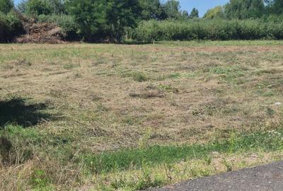 Merisor, 30 ari teren parcelabil - 6