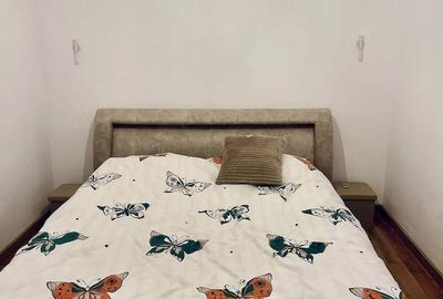 Apartament cu 2 camere semidecomandat în Banat - 3