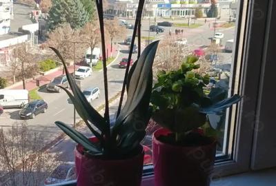 Vand apartament,2 camere,complet mobilat,ultraceral,in unul din cele mai frumoase blocuri din Deva - 9