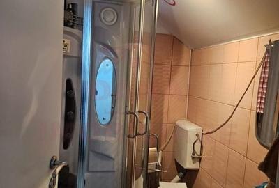 CASĂ DE VÂNZARE ÎN POUANA MĂRULUI,JUD. CARAȘ-SEVERIN - 16