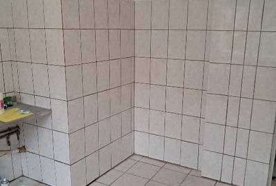 Proprietar,vând apartament.doua camere bdul Tineretului - 7