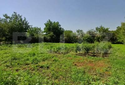 Casă cu 4 camere cu Teren 1860 Mp în Câmpia Turzii - 16