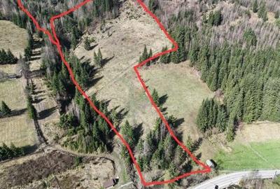 Spațiu comercial, în Pojorâta - 4