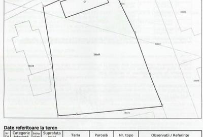 Casă individuală cu 3 camere cu Teren 1167 Mp în Băneasa - 14