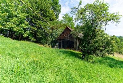 Casă / Vilă cu 3 camere de vânzare - 45