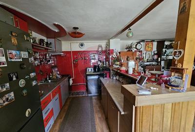 Casa / Vila 124 mp + foisor + garaj + teren intravilan ... - 10