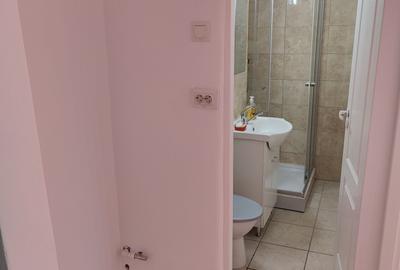 Apartament cu 2 camere semidecomandat în Central - 8